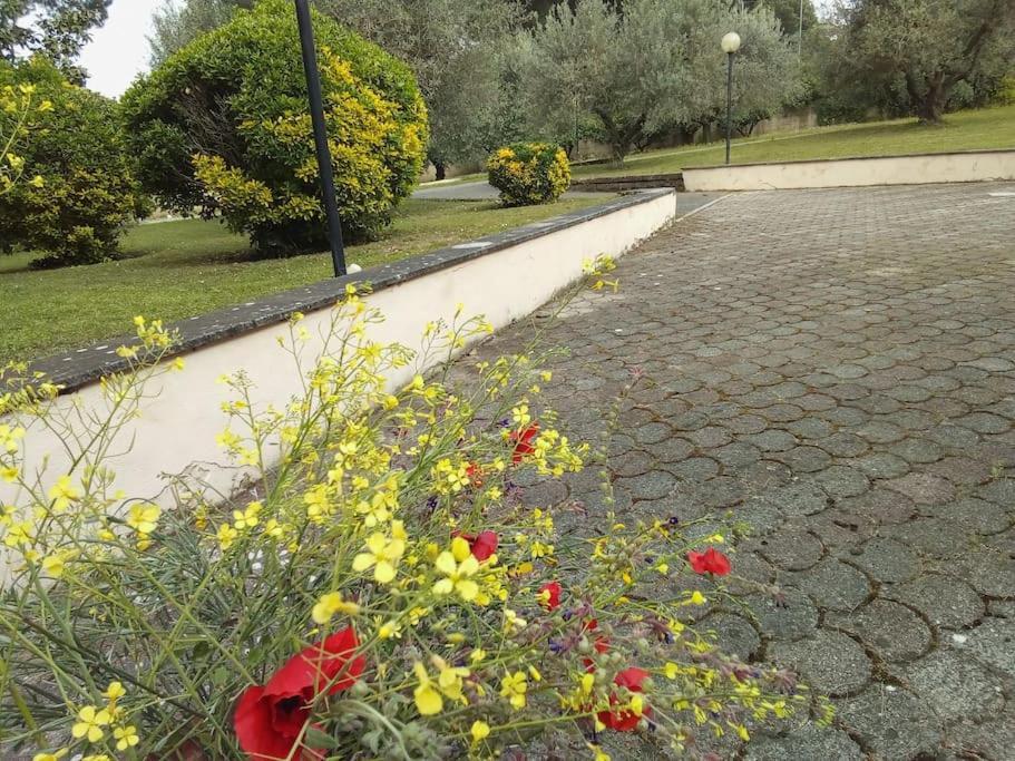 Residenza Nella Campagna Di Capitale. Casa de férias Roma